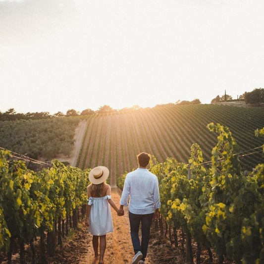 WINERY PROPOSAL