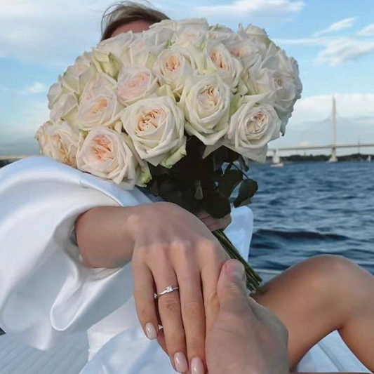 ALL ABOARD PROPOSAL
