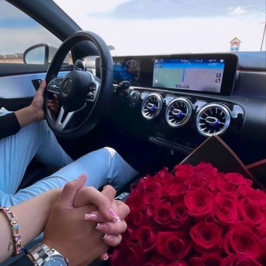 FAST LANE PROPOSAL